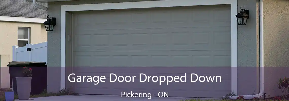 Garage Door Dropped Down Pickering - ON