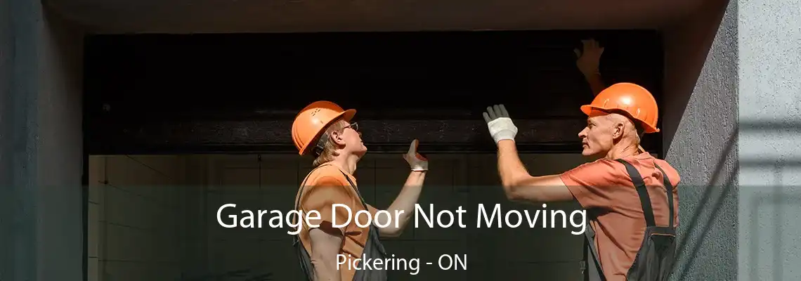  Garage Door Not Moving Pickering - ON
