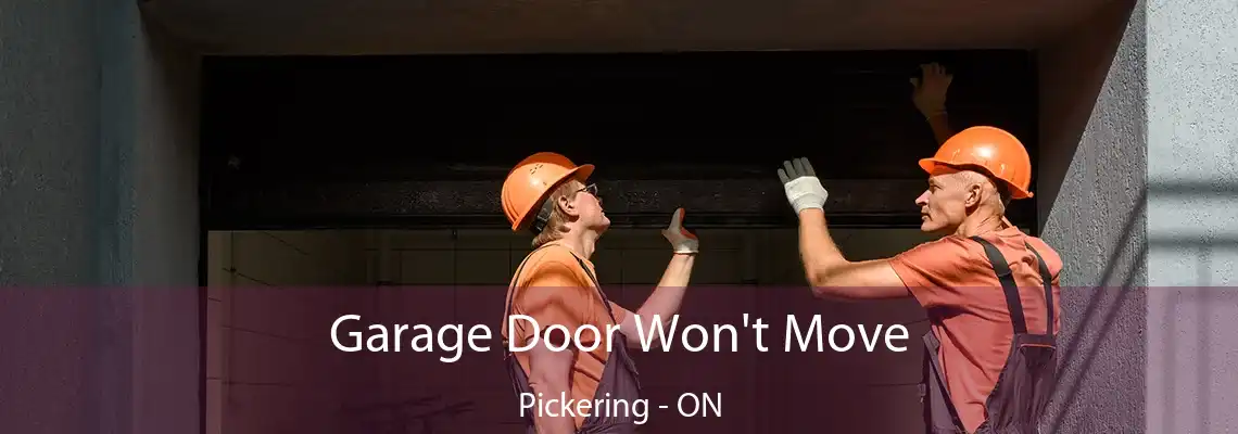Garage Door Won't Move Pickering - ON