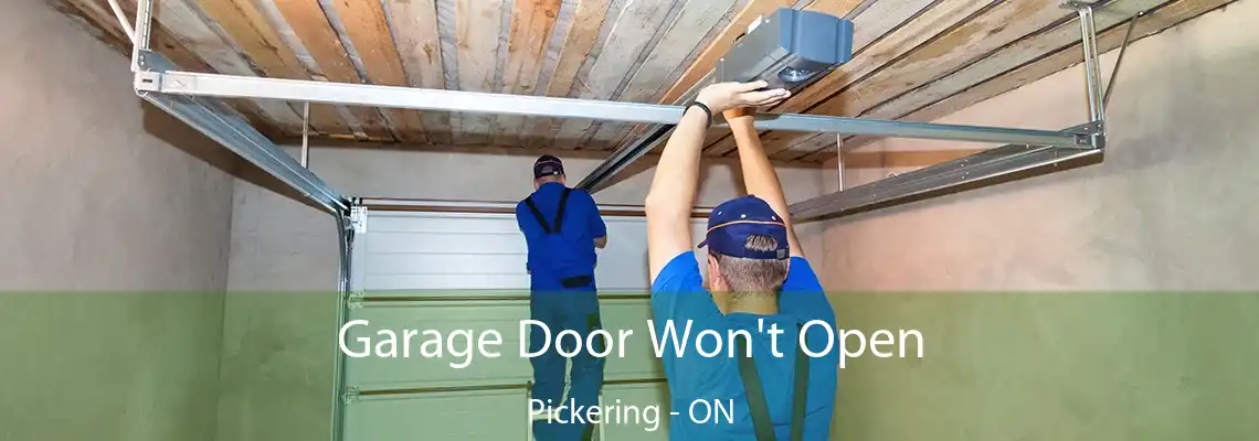Garage Door Won't Open Pickering - ON